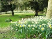 Woodland Gardens